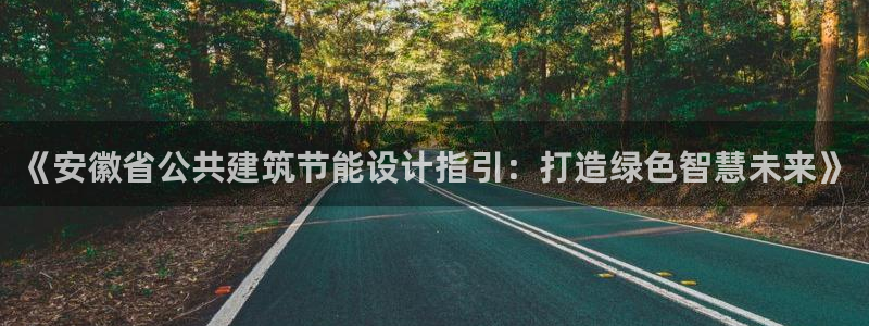 e尊国际-e尊国际官网：《安徽省公共建筑节能设计指引：打造绿色智慧未来》
