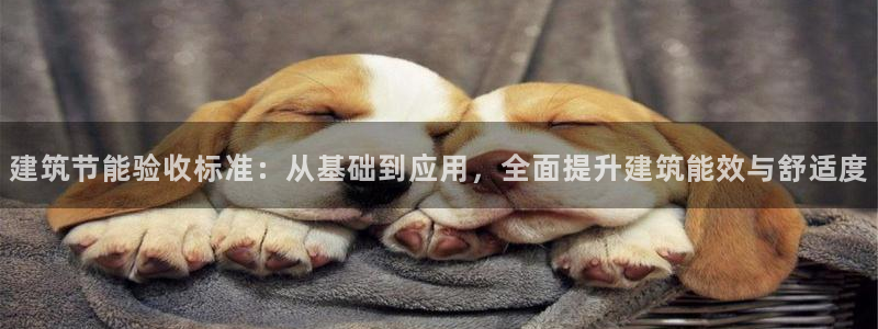 e尊平台：建筑节能验收标准：从基础到应用，全面提升建筑能效与舒适度