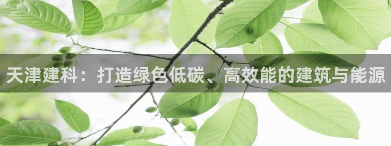 e尊国际地址：天津建科：打造绿色低碳、高效能的建筑与能源
