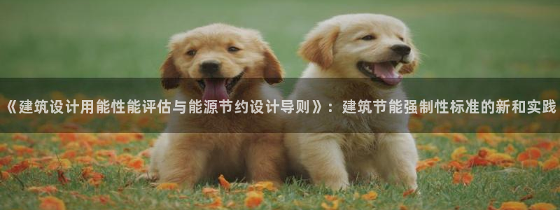 e尊国际地址：《建筑设计用能性能评估与能源节约设计导则》：建筑节能强制性标准的新和实践