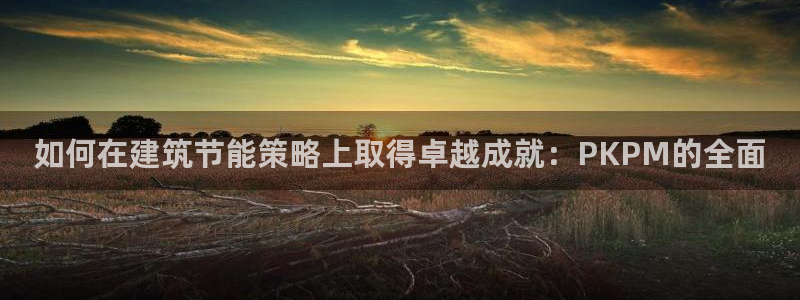 尊亿游戏国际官网：如何在建筑节能策略上取得卓越成就：PKPM的全面