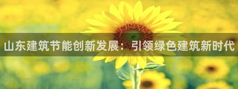 e尊国际7779：山东建筑节能创新发展：引领绿色建筑新时代