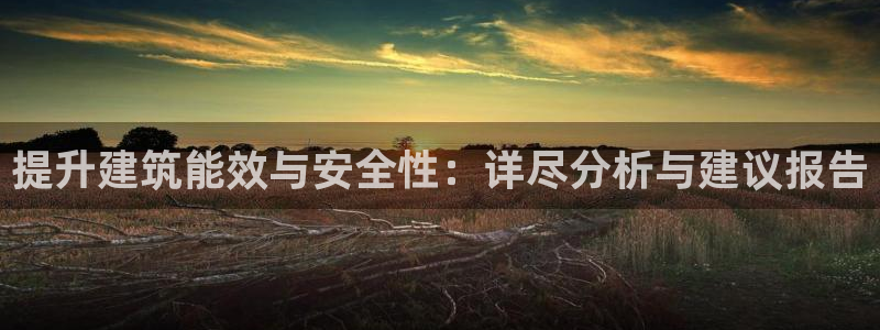 e尊体育：提升建筑能效与安全性：详尽分析与建议报告