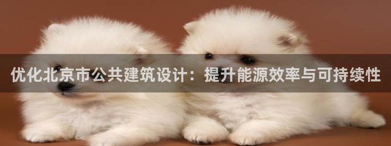 e尊国际官网·网址：优化北京市公共建筑设计：提升能源效率与可持续性