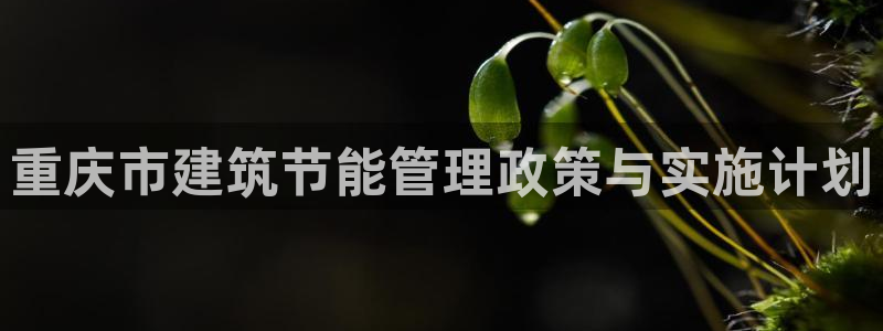 e尊体育：重庆市建筑节能管理政策与实施计划