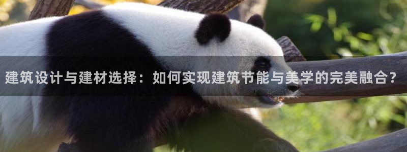 E尊国际网站：建筑设计与建材选择：如何实现建筑节能与美学的完美融合？