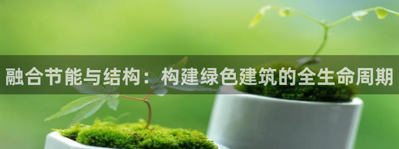e尊国际可靠吗：融合节能与结构：构建绿色建筑的全生命周期
