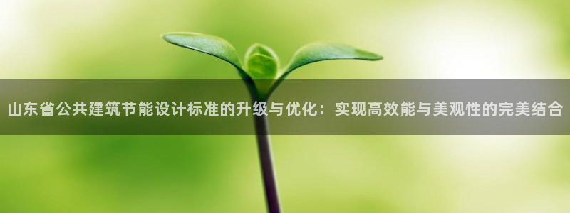 e尊国际客户端：山东省公共建筑节能设计标准的升级与优化：实现高效能与美观性的完美结合