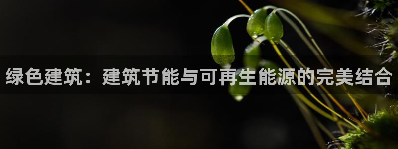 e尊国际7779：绿色建筑：建筑节能与可再生能源的完美结合