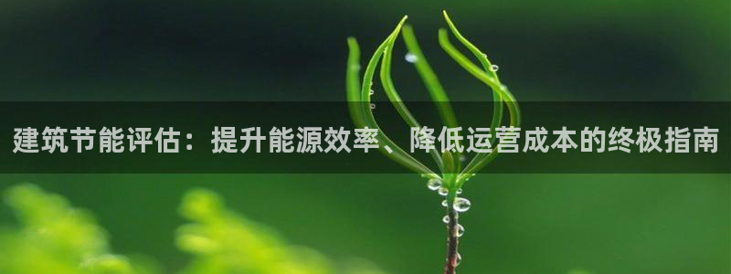 E尊国际网站：建筑节能评估：提升能源效率、降低运营成本的终极指南
