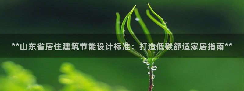 e尊平台：**山东省居住建筑节能设计标准：打造低碳舒适家居指南**