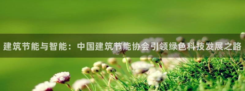 e尊官网：建筑节能与智能：中国建筑节能协会引领绿色科技发展之路