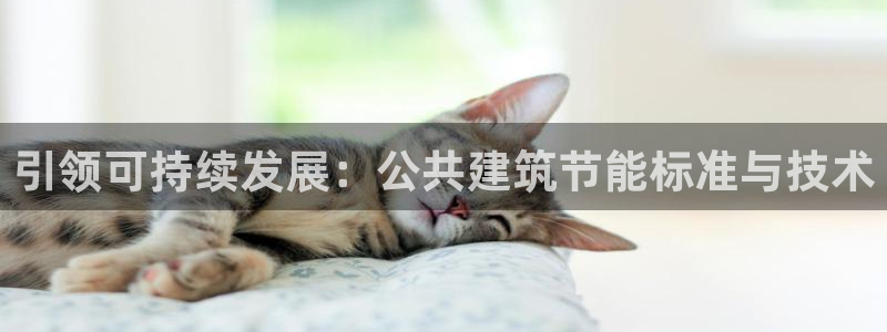 e尊国际平台：引领可持续发展：公共建筑节能标准与技术