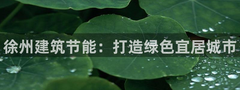e尊国际app