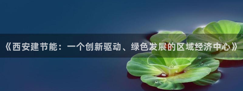 e尊国际网址：《西安建节能：一个创新驱动、绿色发展的区域经济中心》