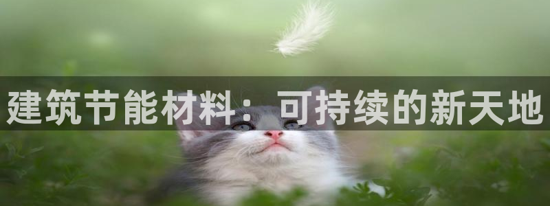 e尊体育：建筑节能材料：可持续的新天地