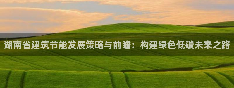e尊国际客户端：湖南省建筑节能发展策略与前瞻：构建绿色低碳未来之路