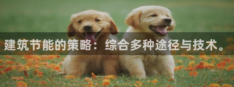 e尊国际官网app：建筑节能的策略：综合多种途径与技术。