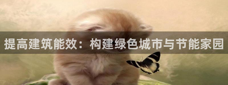 e尊国际客户端下载：提高建筑能效：构建绿色城市与节能家园