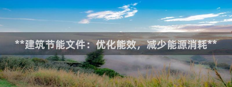 谁知道e尊国际的网址：**建筑节能文件：优化能效，减少能源消耗**