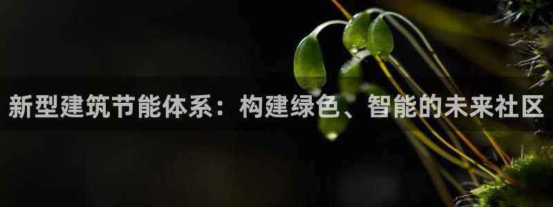 e尊国际是干什么的：新型建筑节能体系：构建绿色、智能的未来社区