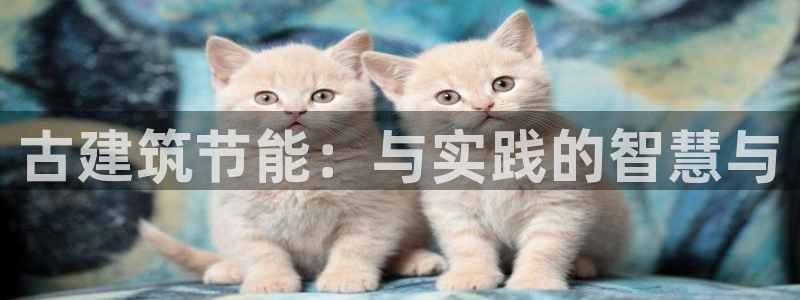 尊亿游戏国际官网：古建筑节能：与实践的智慧与