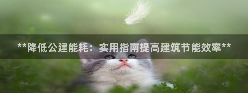 e尊国际app：**降低公建能耗：实用指南提高建筑节能效率**