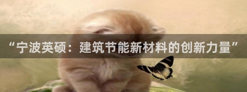 e尊国际平台：“宁波英硕：建筑节能新材料的创新力量”